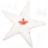 Peluche Etoile de mer maman et bébé Les Ptipotos Corail (62 cm) Les Déglingos Produit 5