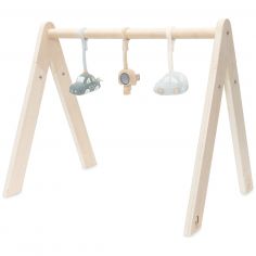 Lot de 3 jouets pour arche d'éveil On the Go - Jollein