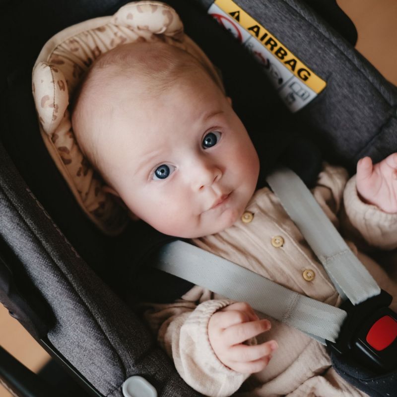 Coussin cale tête P'tit Panda Jersey Léopard Candide Ambiance 4