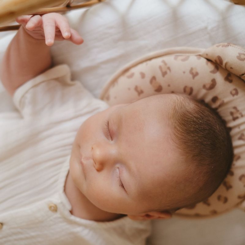 Coussin cale tête P'tit Panda Jersey Léopard Candide Ambiance 8