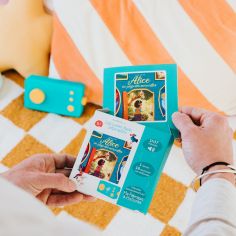 18 histoires interactives Alice au Pays des Merveilles (5 ans et +)