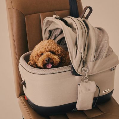 Siège auto pour animal avec ventilateur et système Isofix intégré MAEVE ISO5X WIND TAWNY