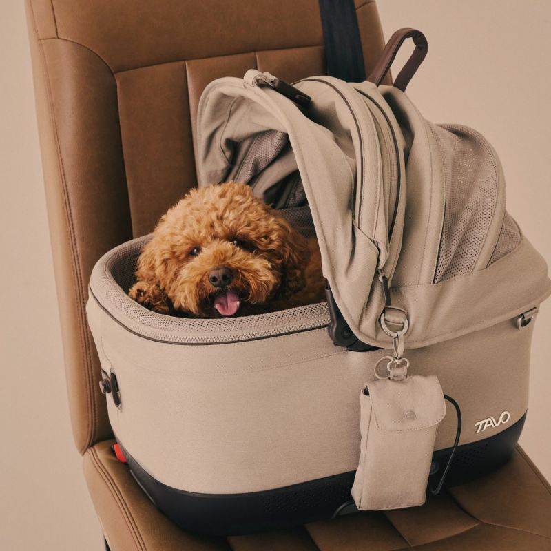 Siège auto pour animal avec ventilateur et système Isofix intégré MAEVE ISO5X WIND TAWNY Tavo Ambiance 1
