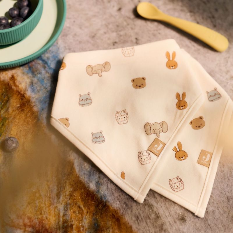Lot de 2 bavoirs bandana Jollies Jollein Ambiance 2