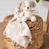 Doudou câlin Teddy Chien Ecru (27 cm) Nattou Ambiance 3