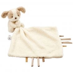 Doudou câlin Teddy Chien Ecru (27 cm) - Nattou