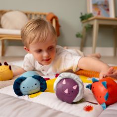 Set de 4 balles doudous Les Doodballs Les Amis Dinos