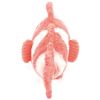 Peluche Bigou maman et bébé Les Ptipotos Corail (38 cm) Les Déglingos Produit 5