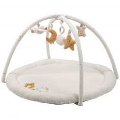 Tapis d'activités avec arches Newborn - Little Dutch