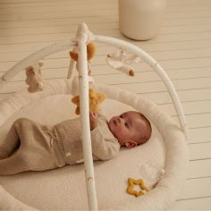 Tapis d'activités avec arches Newborn