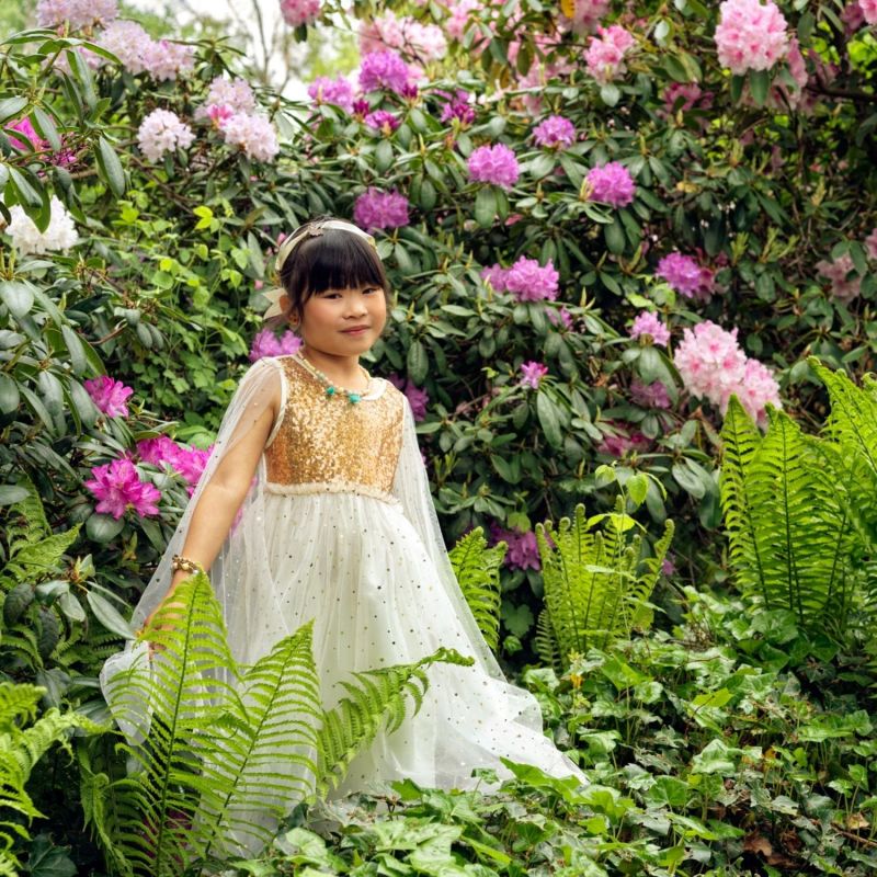 Déguisement robe Dorianne (3-4 ans) Souza For Kids Ambiance 2