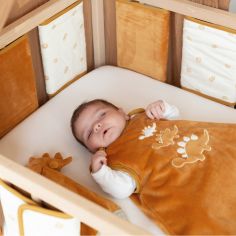 Gigoteuse Diplododo TOG 2,5 (0-6 mois)