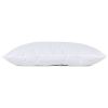 Oreiller coton Bio (60x40 cm) Candide Produit 5