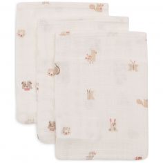 Lot de 3 gants de toilette en gaze de coton Animal Friends - Jollein
