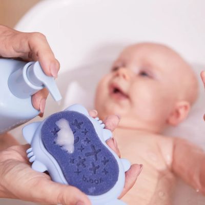 Lot de 2 éponges de remplacement pour brosse de bain Foxy