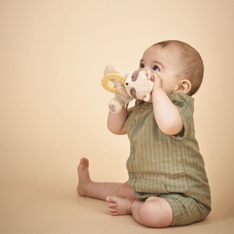 Peluche anneau de dentition Raton Laveur Kaloo Ambiance 5