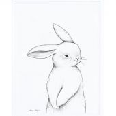Affiche encadrée lapin de face (30 x 40 cm)