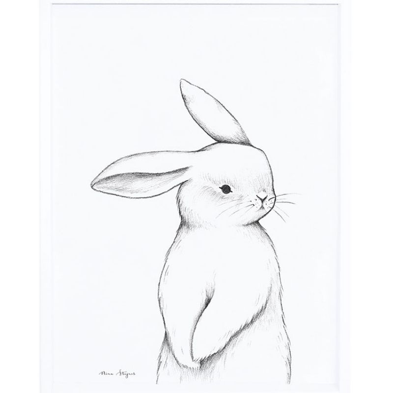 Affiche encadrée lapin de face (30 x 40 cm) Lilipinso