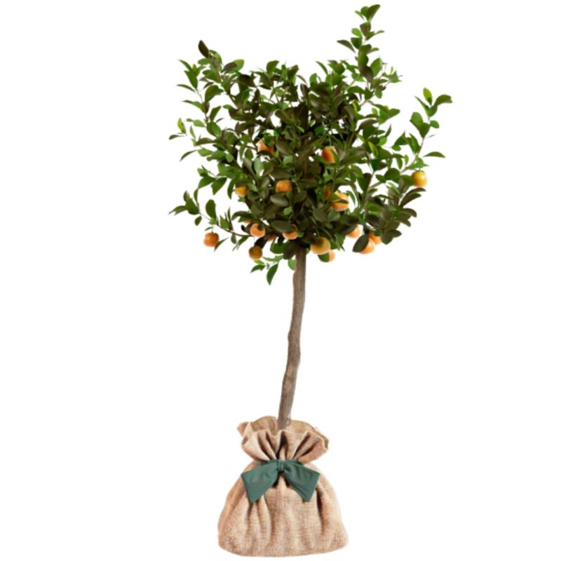 Arbre à offrir Calamondin - Joie et Vitalité Juste un Arbre Produit 2