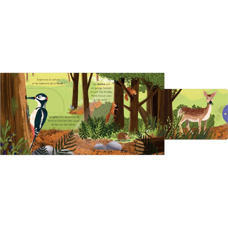 Livre les petits explorateurs - La forêt - Reconditionné Editions Kimane Produit 3