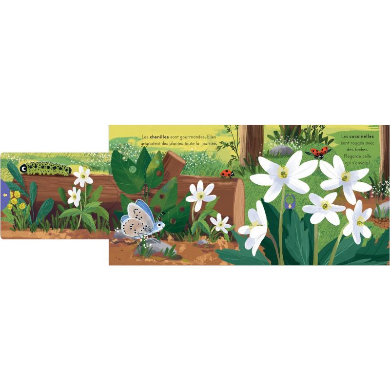 Livre les petits explorateurs - La forêt - Reconditionné Editions Kimane Produit 4