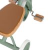 Tricycle évolutif Trike Forest Banwood Produit 8