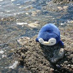 Porte-clé peluche Nemu Nemu Eskimo le Pingouin (13 cm)