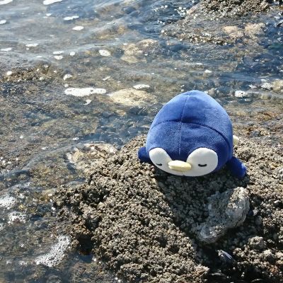 Porte-clé peluche Nemu Nemu Eskimo le Pingouin (13 cm)