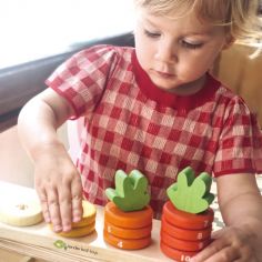 Jeu de comptage carottes en bois