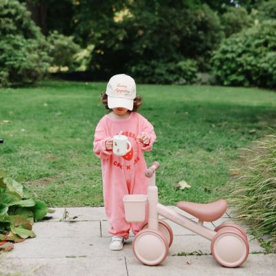 Tasse à paille Fairy Mice