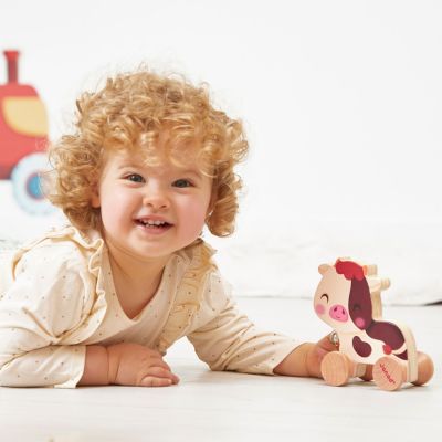 Vache à promener Ferme