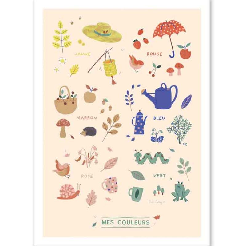 Affiche Couleurs Pomme des bois (50 x 70 cm) Moulin Roty