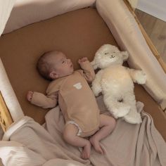 Lot de 2 bodies Ourson (naissance)