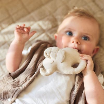 Hochet Elephant Tales