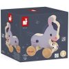 Âne à promener Ferme Janod Packaging 6