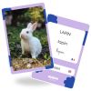 Cartes Flash Animaux (40 cartes photos et mots) Observe Édition Produit 4