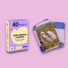 Cartes Flash Animaux (40 cartes photos et mots) Observe Édition Ambiance 6