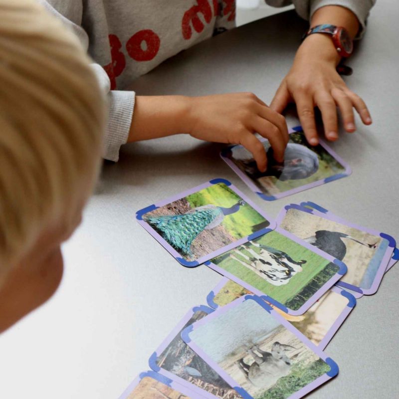 Cartes Flash Animaux (40 cartes photos et mots) Observe Édition Ambiance 2