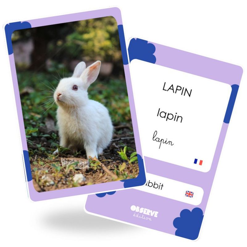Cartes Flash Animaux (40 cartes photos et mots) Observe Édition Produit 4