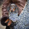 Sac de transport Animaux Grey Leopard Caramel & Cie Ambiance 5
