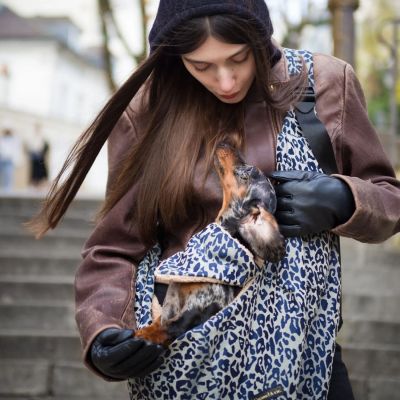 Sac de transport Animaux Grey Leopard