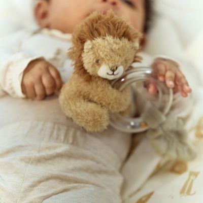 Anneau hochet Lion Safari Friends