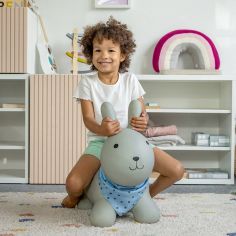 Ballon sauteur Lapin