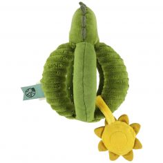 Balle de préhension Mr. Dino