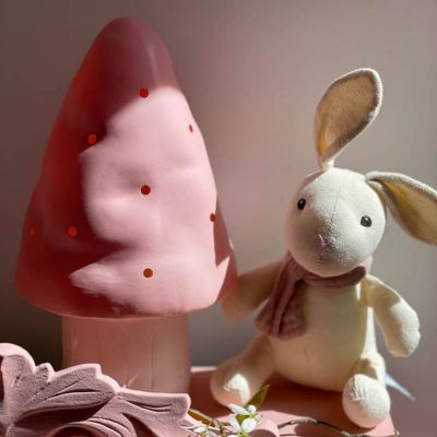 Petite lampe veilleuse champignon Cuberdon