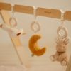 Arche d'éveil en bois Newborn Little Dutch Ambiance 6