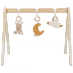 Arche d'éveil en bois Newborn - Little Dutch
