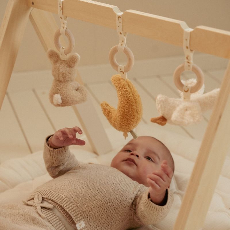 Arche d'éveil en bois Newborn Little Dutch Ambiance 2