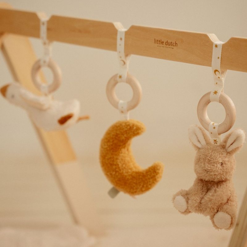 Arche d'éveil en bois Newborn Little Dutch Ambiance 6