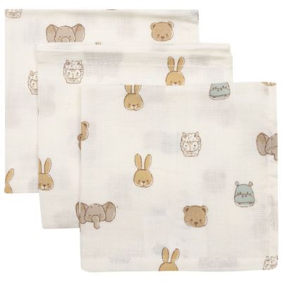 Lot de 3 mini langes Jollies (31 x 31 cm)